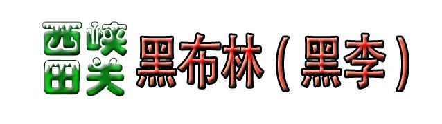 内乡、新野PP电子 PP电子平台、淅川、社旗一批项目开工(图11)