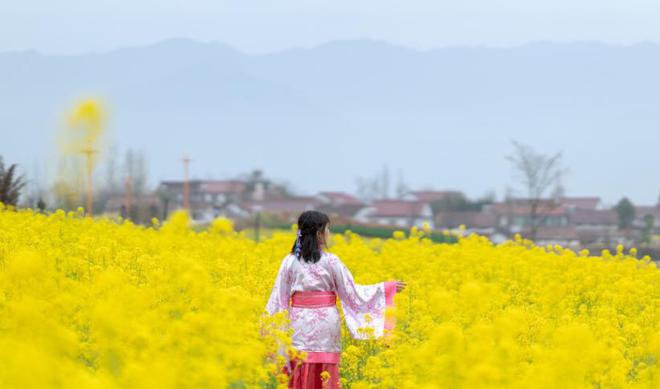 收到大学通知PP电子 PP电子平台书一家人簇拥着我；3年后我决定离婚(图4)